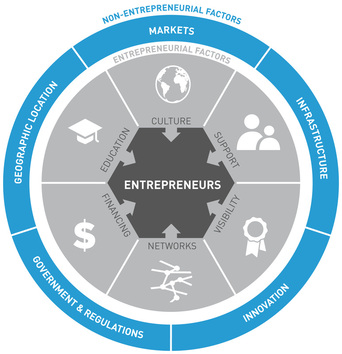 Healthy Entrepreneurial Ecosystem